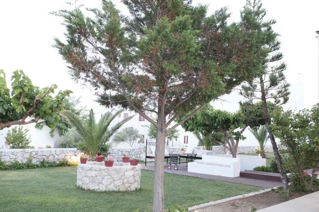 Asterias Skyros Quarto foto